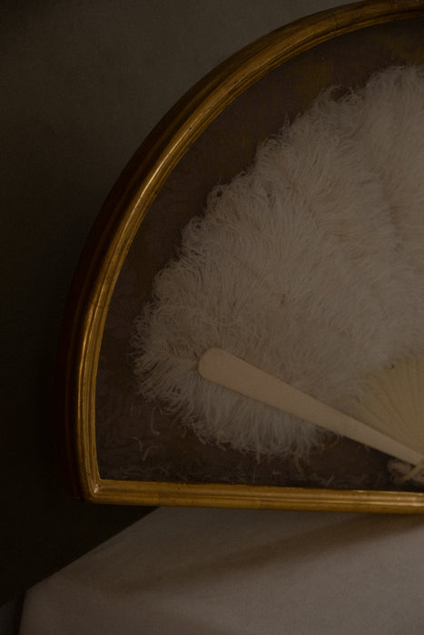 Antique ostrich feather fan shadow box