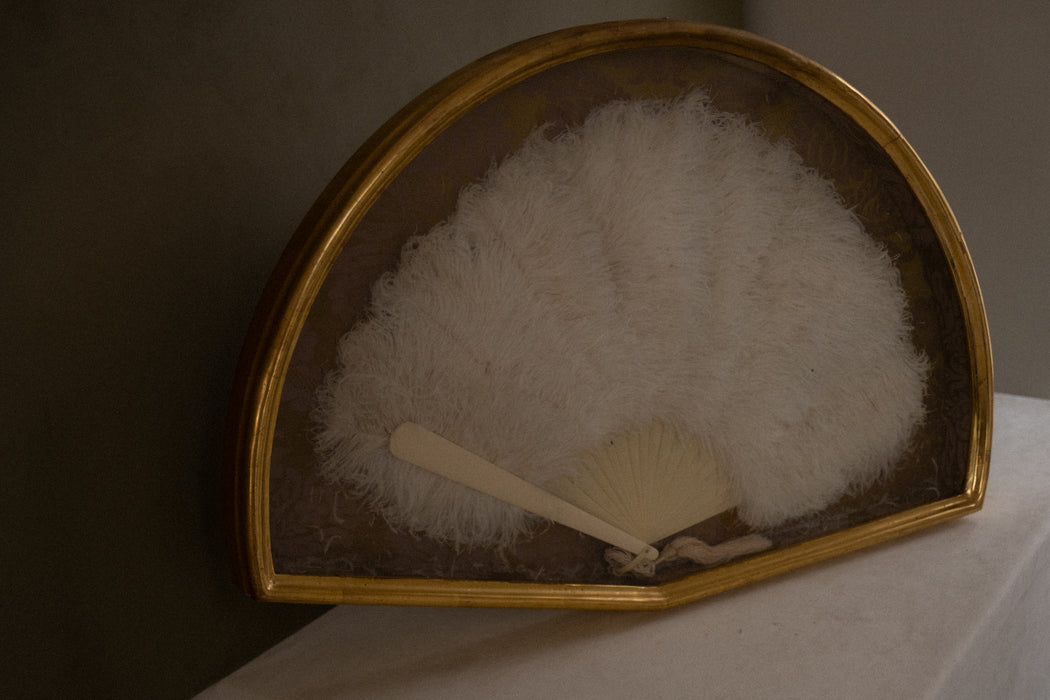 Antique ostrich feather fan shadow box