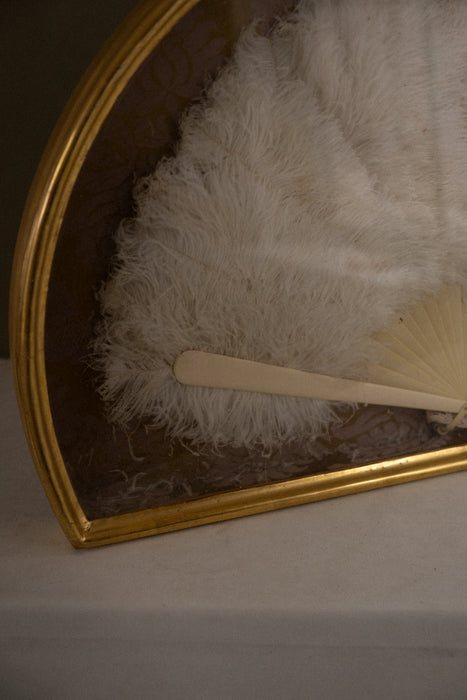 Antique ostrich feather fan shadow box