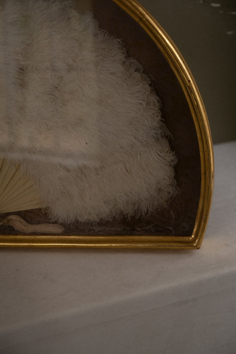 Antique ostrich feather fan shadow box