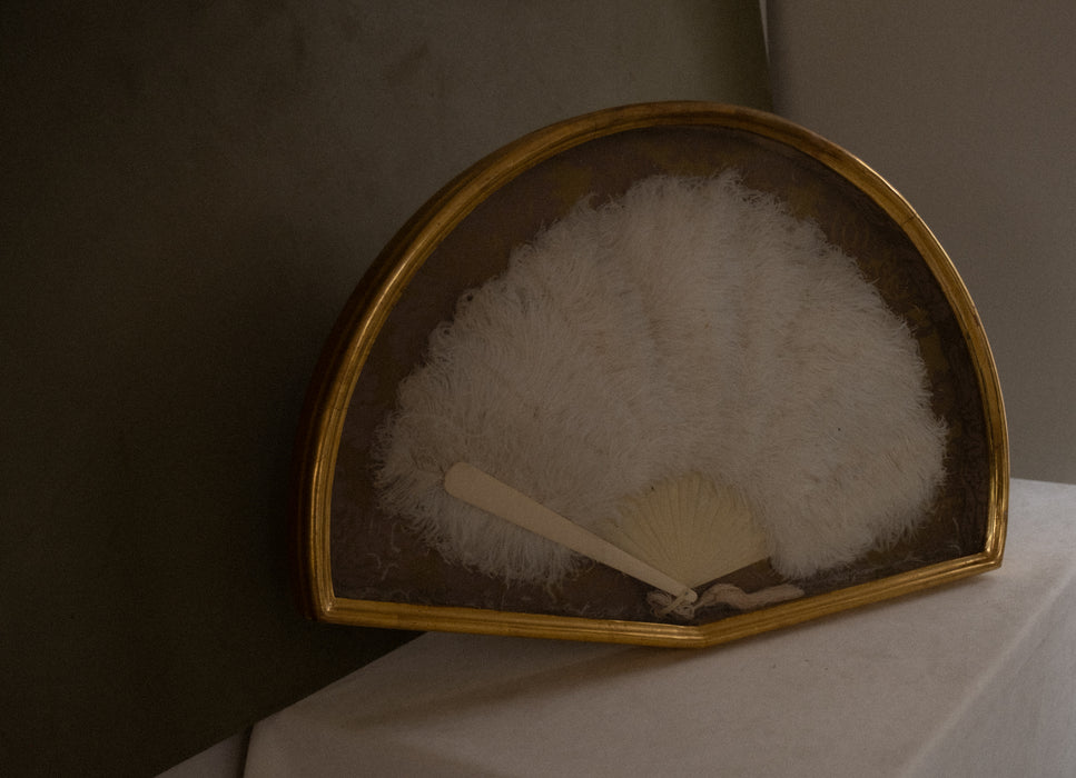 Antique ostrich feather fan shadow box